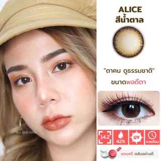 ไม่แถมตลับ Alice Brown (มินิ) คอนแทคเลนส์ Wink