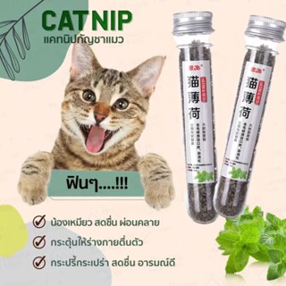 กัญชาแมว 45ml แคทนิป Catnip หลอดทดลอง  สมุนไพรสำหรับสัตว์เลี้ยง คลายเครียดให้แมว (ของเล่นแมว (🇹🇭พร้อมส่ง)