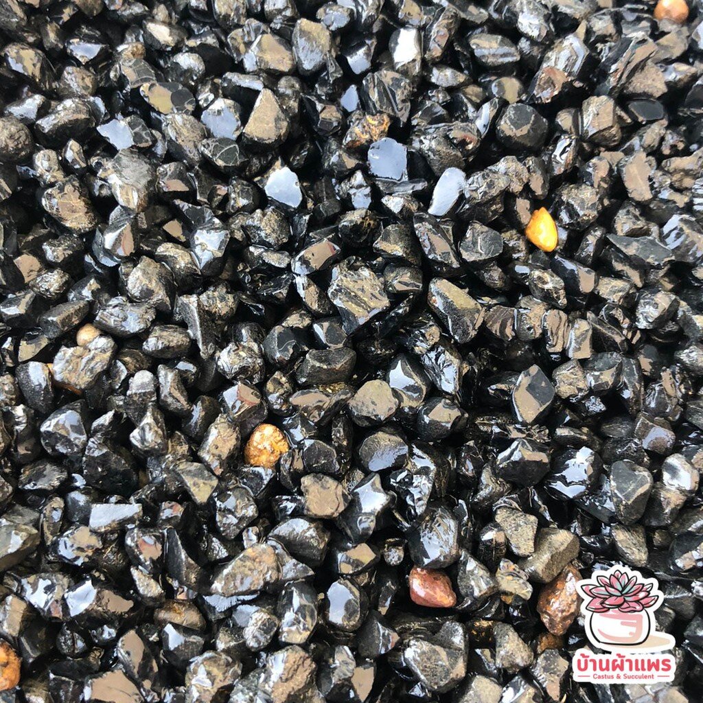 [ 1 กก. ] หินนิลสีดำ หินโรยหน้ากระถาง แคคตัส กระบองเพชร ไม้อวบน้ำ - รูปที่ 3