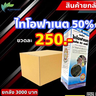 ยกลัง 12 ขวด ไทโอฟาเนต 50% แบบน้ำ ดูดซึมเร็ว 🛑 ยากำจัดเชื้อรา ใบไหม้ ใบจุด กาบใบแห้ง ขอบใบแห้ง