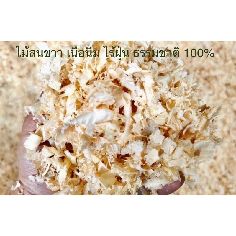 TOOMY ขี้เลื่อยแฮมสเตอร์ 500g ไม้สนธรรมชาติ ไร้ฝุ่น เนื้อนิ่ม thumbnail 6