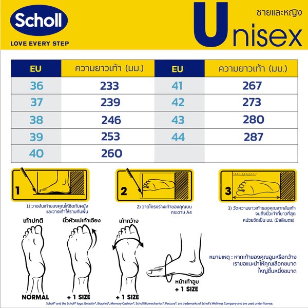 Scholl Cyclone General Comfort 955 ของแท้ 100% #พร้อมส่ง