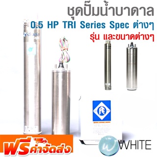 ชุดปั๊มน้ำบาดาล 0.5 HP TRI Series Spec ต่างๆ ยี่ห้อ FRANKLIN จัดส่งฟรี!!!