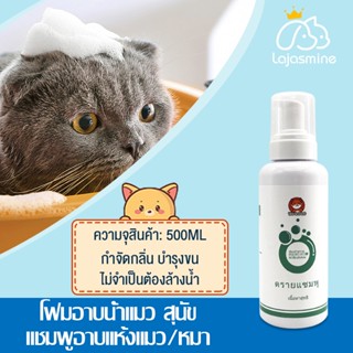 500ML โฟมซักแห้งสัตว์เลี้ยง โฟมอาบน้ำแห้ง โฟมอาบแห้งแมว โฟมอาบแห้งสุนัข สเปรย์อาบน้ำแห้ง แชมพูแมว  โฟมซักแห้ง สุนัข แมว