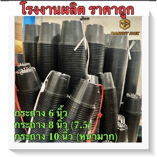 กระถางต้นไม้ สีดำ ขนาด 6,8,10 นิ้ว จำนวน 50 ใu