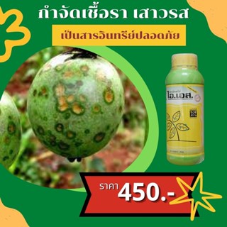 เสาวรส ใบไหม้ ผลจุดสีน้ำตาล กำจัดโรคเสาวรส จากเชื้อราต่างๆ ปลอดสารพิษ ไอเอส และ FK-T(ใช้ได้ทุกพืช)โดย FK