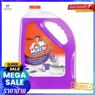 น้ำยาทำความสะอาดพื้น MR.MUSCLE 5,000ml WILD LAVENDERLIQUID CLEANING GENERAL SURFACE MR.MUSCLE 5,000ml WILD LAVENDER