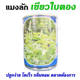 เมล็ดผัก เมล็ดผักสวนครัว แมงลัก ประมาณ 90,000 เมล็ด 25 กรัม พันธุ์เขียวใบตอง Hoary Basil ตราลูกโลก