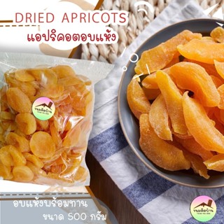 💚พร้อมส่ง❗️ แอปริคอตอบแห้ง แอปริคอต แอปริคอตตุรกี แอปริคอตแห้ง Dried Apricot อบแห้ง ผลไม้รวมอบแห้ง ขนมติดบ้าน