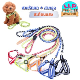 🔥ลด 45 บาท ใช้โค้ด JUNEN45🔥Lovely pets สายจูงพร้อมที่รัดอก สะท้อนแสง ทนทานไซส์S-L พร้อมส่ง