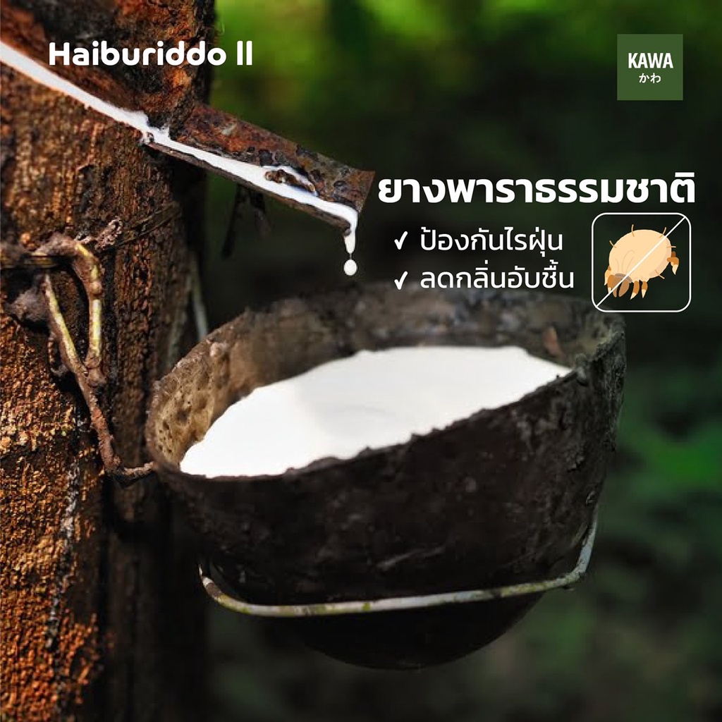 KAWA ที่นอนยางไฮบริด