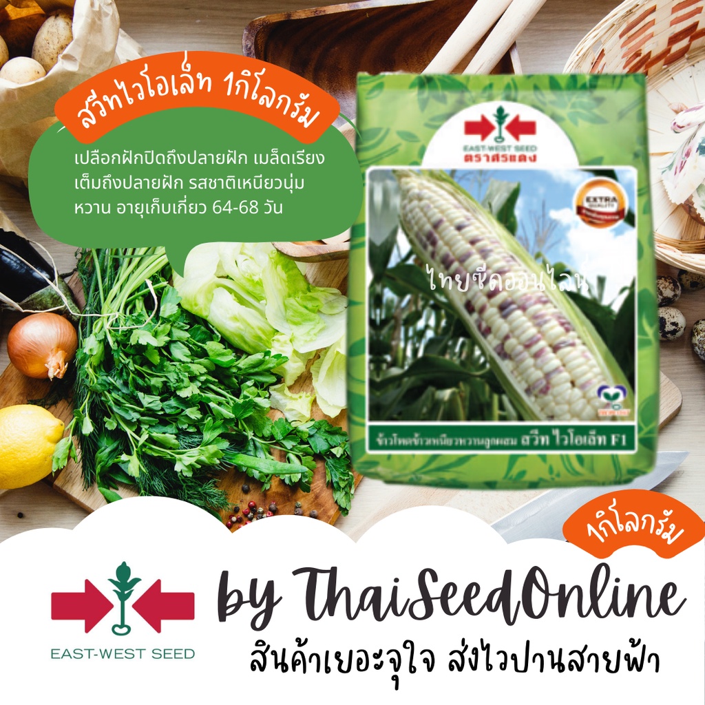 EWCOM 1 กก. เมล็ดพันธุ์ ข้าวโพดข้าวเหนียวหวาน สวีทไวโอเล็ท ตราศรแดง Corn สวีทไวโอเล็ต ตราศรแดง Corn