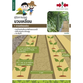 GGEW เมล็ดพันธุ์ บวบเหลี่ยม วิกเกอร์เอ 25 เมล็ด ตราศรแดง