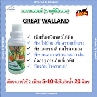 ปุ๋ยกิฟฟารีน ปุ๋ย สวน ดิน เกรทวอลล์ Great Wall ธาตุซิลิกอน ( S ) เพิ่มความแข็งแรง ความทนทานให้กับเซลล์พืช ของแท้ ส่งฟรี