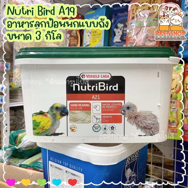 PPETSHOP พร้อมส่ง💢 Nutri Bird A21 อาหารลูกป้อน สำหรับลูกนกทุกสายพันธุ์ แบบถัง 3kg.