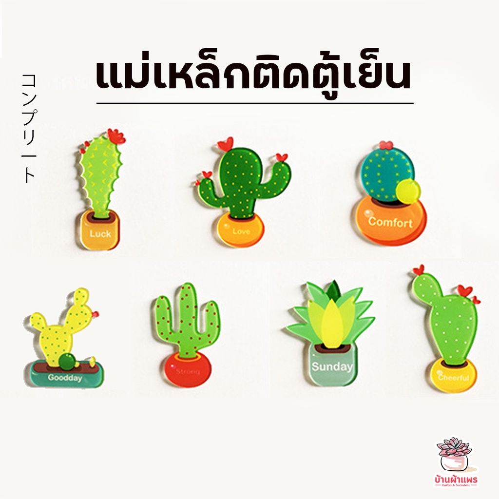 แม่เหล็กติดตู้เย็น แม่เหล็กกระบองเพชร แคคตัส กระบองเพชร ไม้อวบน้ำ cactus&succulent