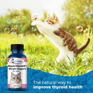 Cat Hyperthyroid + Weight ไทรอยด์แมว ปรับสมดุลฮอร์โมน แมวฮอร์โมนผิดปกติ แมวขนร่วง แมวผอม อารมณ์แปรปรวน