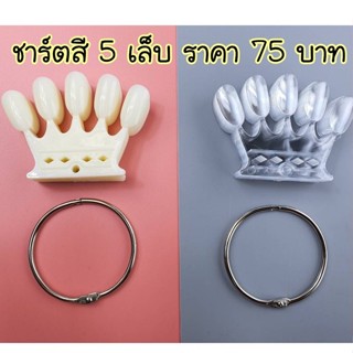 ชาร์ตเล็บมงกุฏแบบ 5 เล็บ ชาร์ตทาสีเจล ชาร์ตสีทาเล็บ