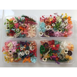 ดอกไม้แห้ง คละชนิด คละสี (ไม่ระบุชนิดดอกไม้)