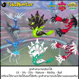 Pokemon Xerneas Yveltal Zygarde