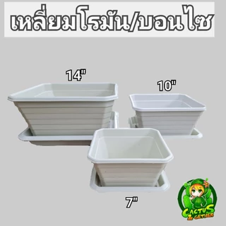 ถูกและหนา‼️กระถางเหลี่ยมโรมันทรงบอนไซ(ทรงเตี้ย)มีขา หนา7"/10"/14" ❌️ไม่รวมจานจานขายแยกค่ะ❌️ สีขาวครีม/เทา/ดำ/อิฐ