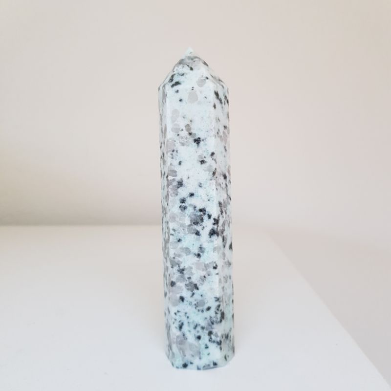 Kiwi Jasper พร้อมส่ง