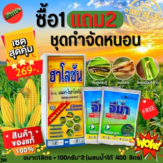 🌽 ชุดกำจัดหนอน (ฮาโลซัน+จีม่า) 1ลิตร+100กรัม*2ซอง ซื้อ1แถม2‼ กำจัดหนอนทุกชนิด