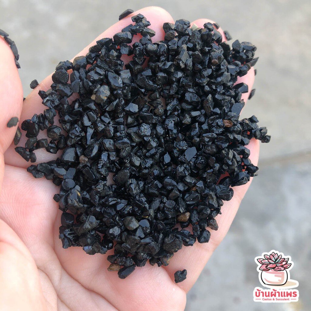 [ 1 กก. ] หินนิลสีดำ หินโรยหน้ากระถาง แคคตัส กระบองเพชร ไม้อวบน้ำ - รูปที่ 7