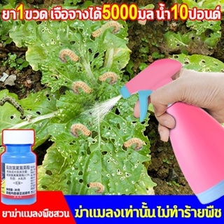 ۩∏ยาเชื้อราในพืช ยาฆ่าแมลง 20g ยากำจัดเพลี้ย ป้องกันแมลงวันดำตัวน้อย  เพลี้ยไฟ ยาหนอน ยากำจัดแมลง ยาเพลี้ย