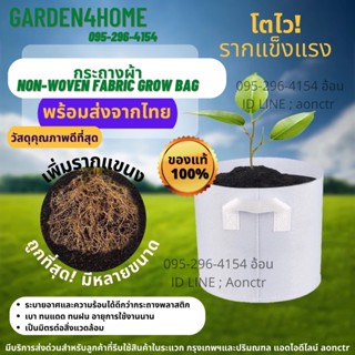 non woven fabric grow bag กระถางผ้าสีขาวมีหูหิ้ว กระถางผ้าปลูกต้นไม้ ถุงปลูกต้นไม้ กระถางต้นไม้