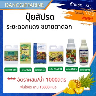 ปุ๋ย ปุ๋ยสัปรด ระยะดอกม่วงโรยหลังแคะจุก ขยายจุก ปุ๋ยกิฟฟารีน โบโรแคล เกรทกรีน ปุ๋ยเกล็ด 15-15-15