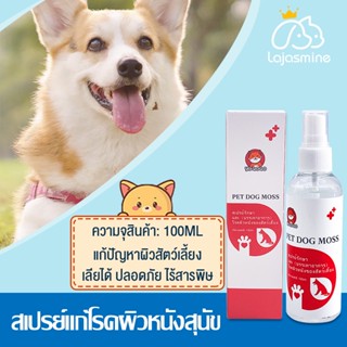 🐶สเปรย์แก้โรคผิวหนังสุนัข 100ML ขี้เรื้อน เชื้อรา ยีสต์  คันขนร่วง ผู้กอบกู้ปัญหาผิวของสัตว์เลี้ยง ปลอดภัย มั่นคง