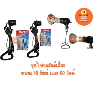 ราคาชุดกกไฟสัตว์เลี้ยง สัตว์ป่วย ลูกสัตว์ ขนาด 40 วัตต์ และ 60วัตต์