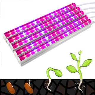 หลอดไฟ LED T5 สีแดง สีฟ้า สําหรับปลูกพืชในร่ม เรือนกระจก ระบบไฮโดรโปนิก เติบโตกล่องเต็นท์ สวิตช์ปลูกดอกไม้