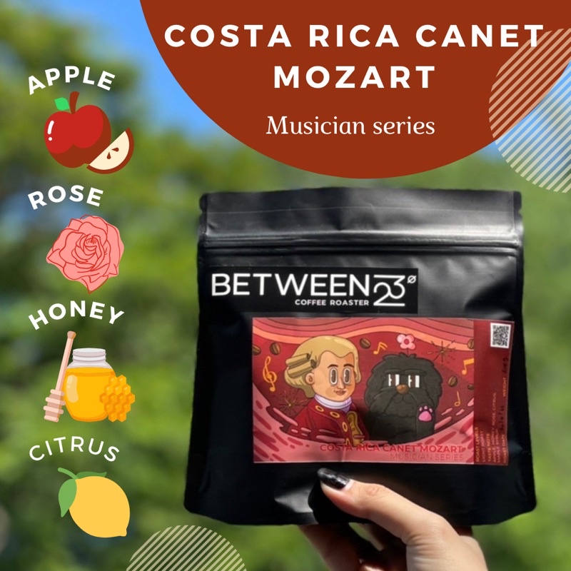เมล็ดกาแฟคั่ว Between23 Costa Rica Mozart musician series