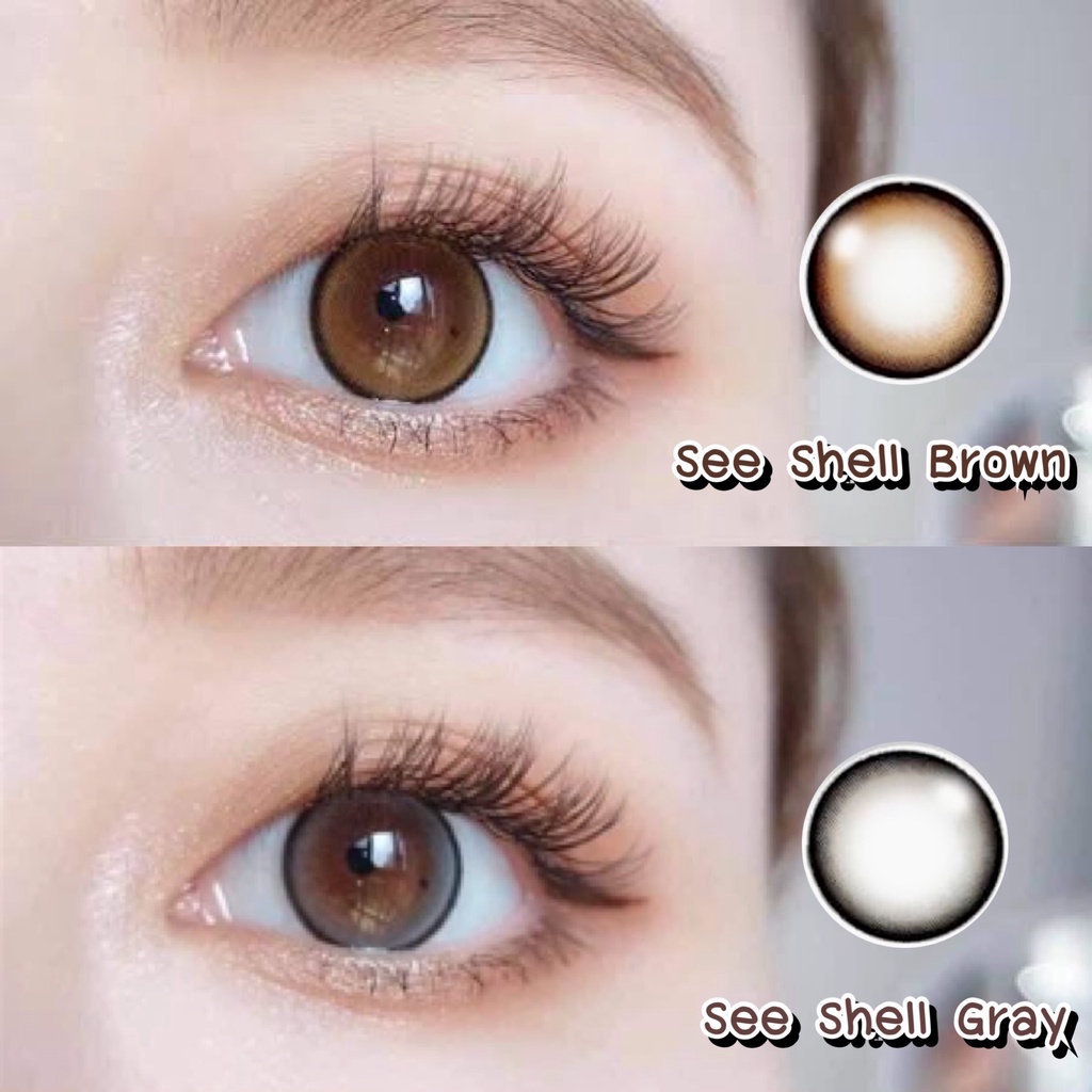 สุดปัง มีค่าสายตา Wink Seeshell Gray Brown บิ๊กอาย สุดปัง คอนแทคเลนส์ รายเดือน มีอย แถมตลับฟรี เลนส์นิ่ม สวยปังมาก