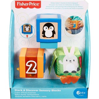 Fisher-Price Stack &amp; Discover Sensory Blocks รุ่นGJW13