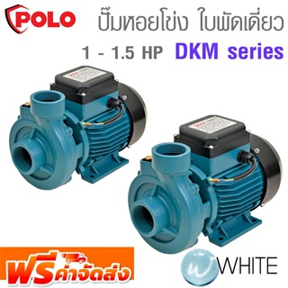 เครื่องสูบน้ำชนิดหอยโข่ง ใบพัดเดี่ยว 1 - 1.5 HP DKM Series ยี่ห้อ POLO จัดส่งฟรี!!!