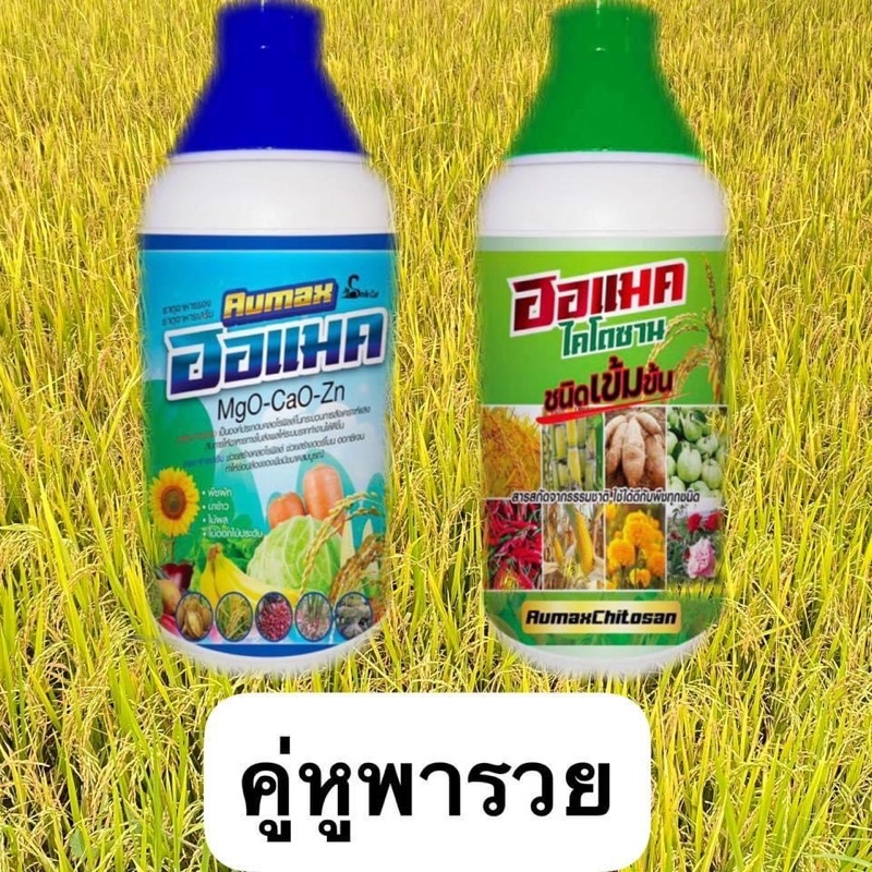 ออแมค คู่หูพารวยยยยย