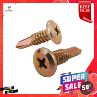 สกรูปลายสว่าน TP DEXZON WSD-16R 10 ตัวSELF-DRILLING SCREWS TP DEXZON WSD-16R 10EA