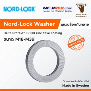 แหวนกันคลาย แหวนล็อคคู่กันคลาย Wedge Lock Washer / Nord Lock Washer (Steel flZn) M18-M39