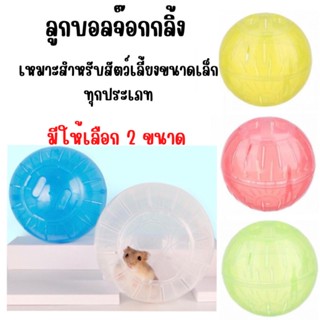 ลูกบอลหนูแฮมเตอร์ขนาดใหญ่(พร้อมส่ง🇹🇭)