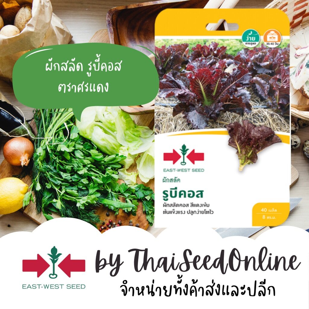 GGEW เมล็ดพันธุ์ซฟ ผักสลัด รูบีคอส 40เมล็ด ตราศรแดง Lettuce