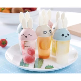 พร้อมส่ง อุปกรณ์ทำไอติม พิมพ์ทำไอติม Ice Cream Mould 6 ช่อง พิมพ์ไอติม พิมพิ์ไอศครีม แม่พิมไอติม พิมพ์ทำไอศครีม