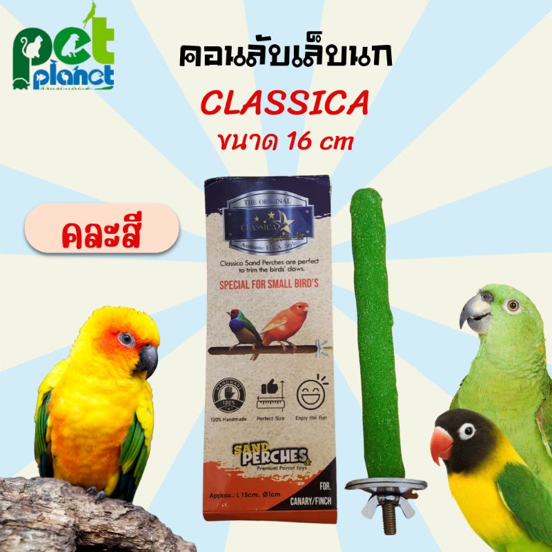 [16cm] คอนลับเล็บนก Classica คอนนก คอนไม้ อุปกรณ์แต่งกรง กรงนก สำหรับ นก นกแก้ว นกซันคอนัวร์ กรีนชีค ของเล่นนก