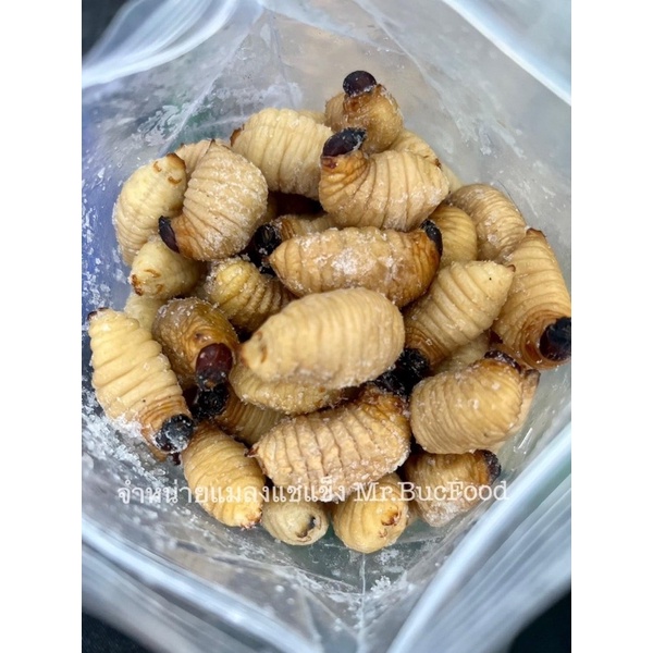 ด้วงสาคูแช่แข็ง แพ็คละ 1 kg.(ส่งรถห้องเย็น)