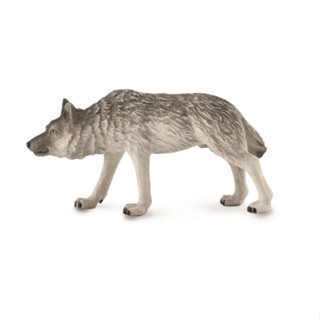 Collecta ของแท้ โมเดลสัตว์ป่าจําลอง 88845 Wolf Hunter 2019