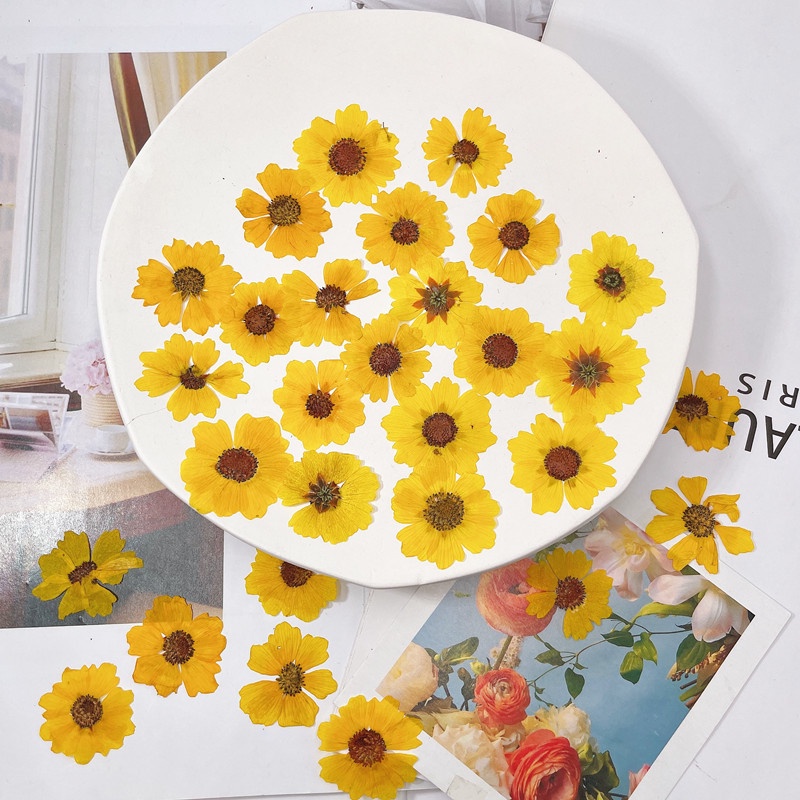 โคมไฟตั้งโต๊ะ รูปดอกเบญจมาศ แบบนูน แฮนด์เมด diy สําหรับตกแต่งโทรศัพท์มือถือ ที่คั่นหนังสือเด็กอนุบาล