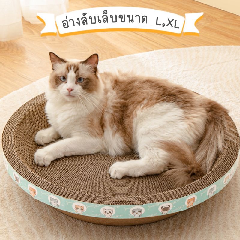 อ่างฝนเล็บแมว อ่างนอนแมว ขนาด XL.50cm