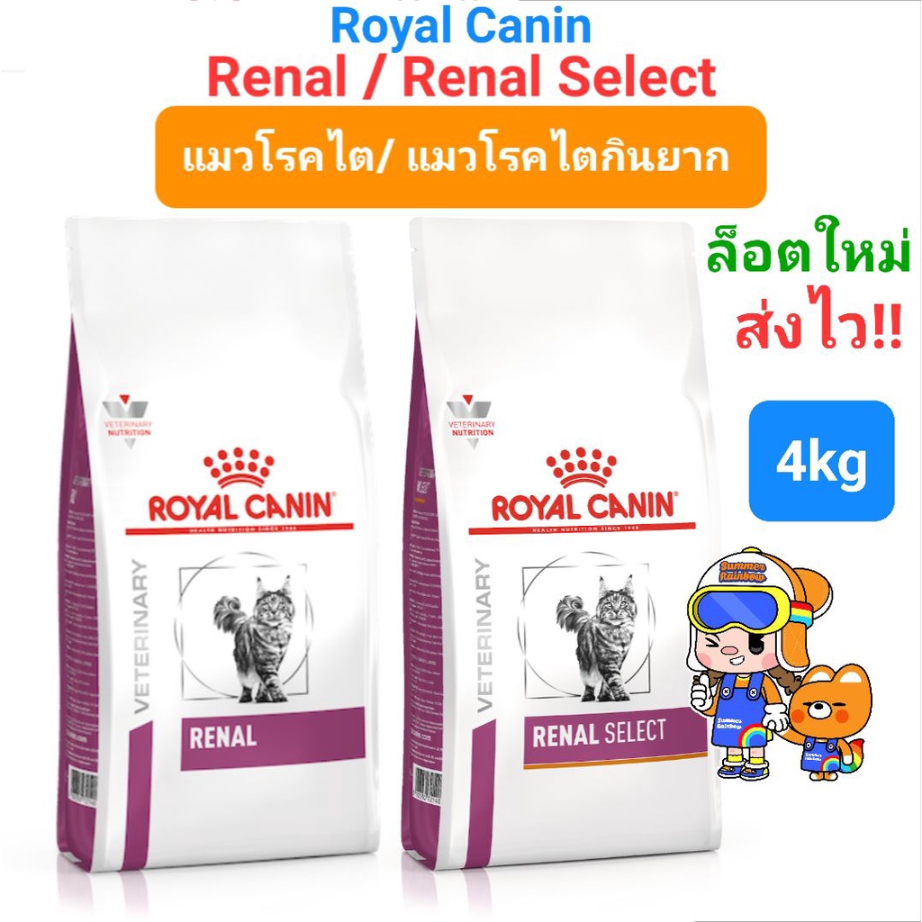 Royal Canin Renal 4 kg / Renal Select 4kg แมวโรคไต แมวเลือกกิน สูตรเพิ่มกลิ่น โรยัลคานิน ขนาด 4 กิโลกรัม